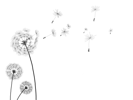 Одуванчик картинка для детей на прозрачном фоне