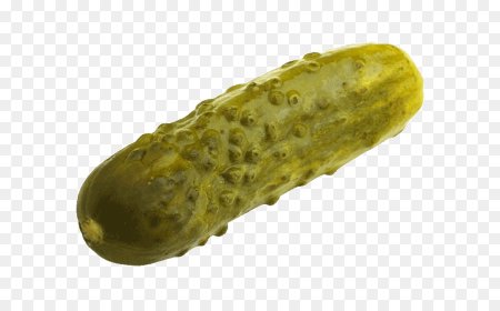 Соленый огурец вектор