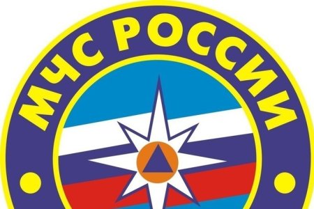 Эмблема Эмерком