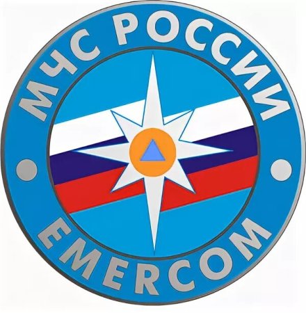 Эмблема Эмерком без фона