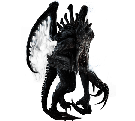 Evolve Кракен