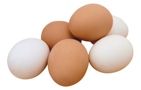 Яйцо (пищевой продукт)