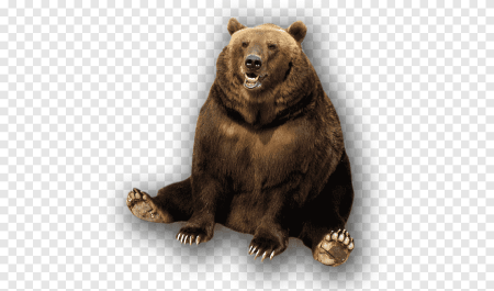 Медведь без фона