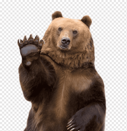 Медведь для детей