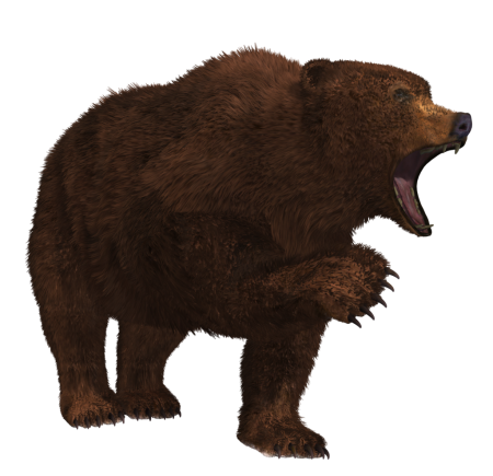 Ursus Etruscus