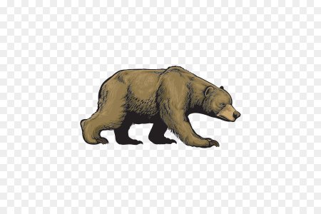 Медведь на прозрачном фоне