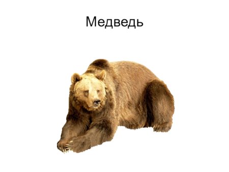 Медведь анимация