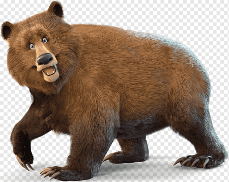 Медведь на прозрачном фоне