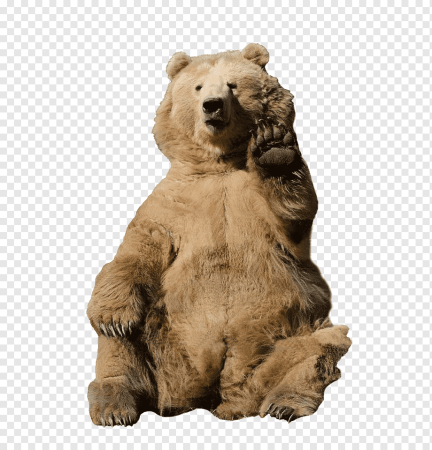 Медведь без фона