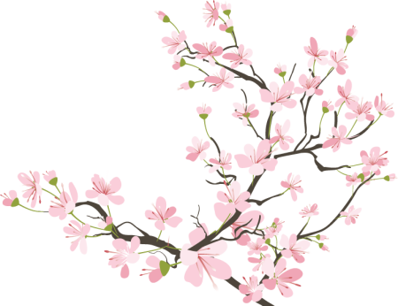 Листья Сакуры вектор