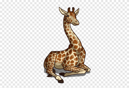 Жирафы клипарт на прозрачном фоне