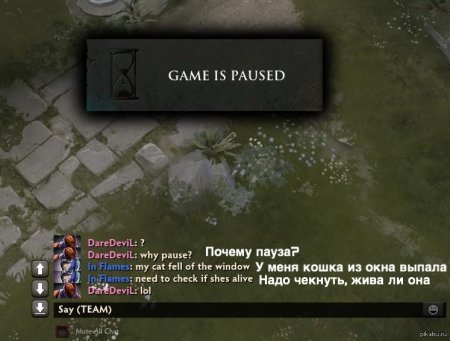 Пауза дота