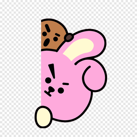 Cooky из bt21