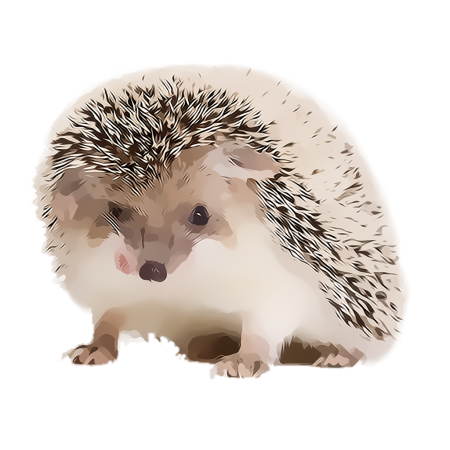 Еж на белом фоне