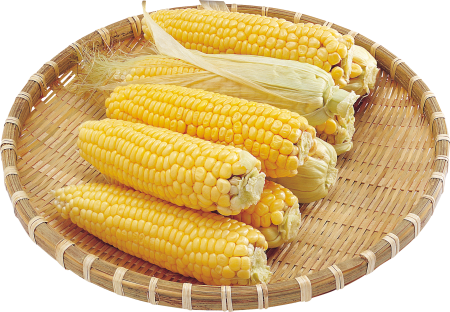 Картинки кукуруза без фона (40 фото)