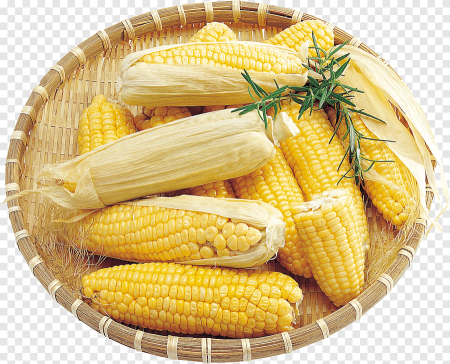 Кукурузный початок