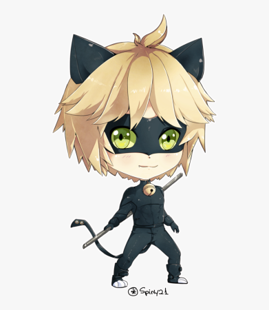 Кот Нуар Чиби
