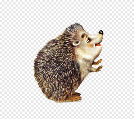 Ежик для детей