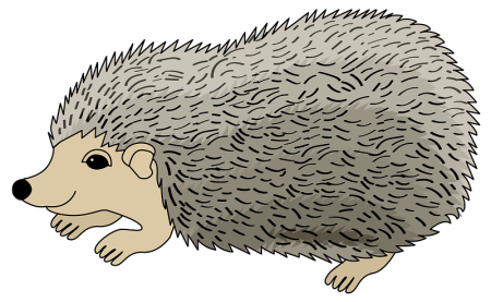 Ежик рисунок
