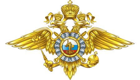 Министерство внутренних дел России (МВД РФ)