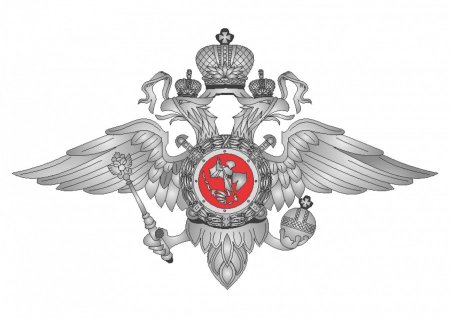 Министерство внутренних дел Российской Федерации