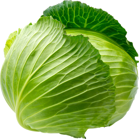 Капуста кочанная белый фон