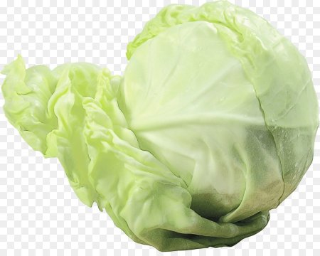 Картина капуста для детей