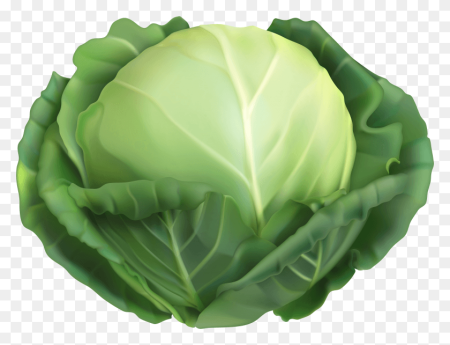 Кэбидж Cabbage