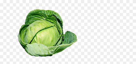 Бочка с капустой PNG