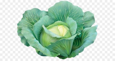 Пиксельная капуста