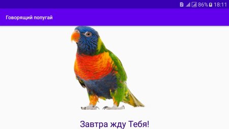 Попугай на прозрачном фоне для фотошопа