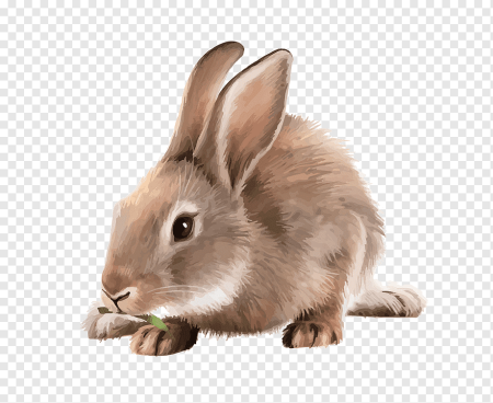 Кролик мультяшный