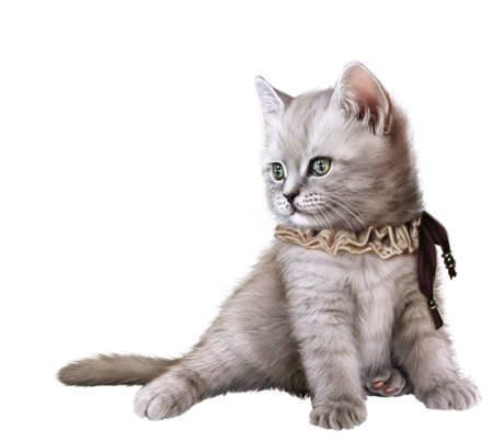 Кошка на прозрачном фоне
