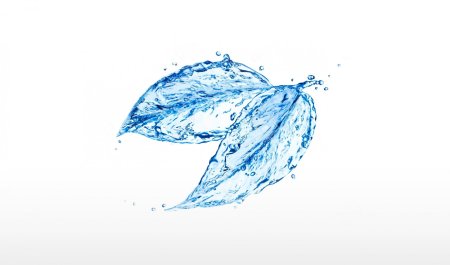 Брызги воды листья