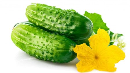 Овощи огурец