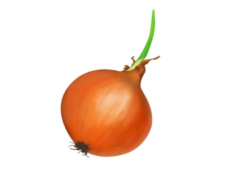 Лук овощ