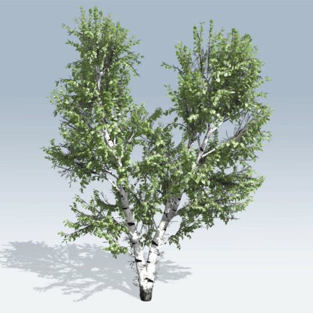 Береза SPEEDTREE