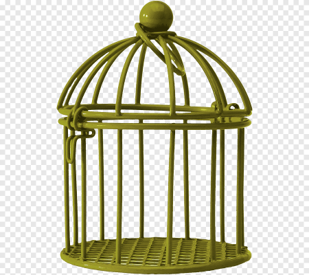 Птичья клетка
