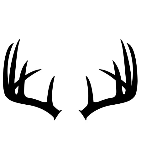 Рога оленя