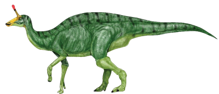 Tsintaosaurus spinorhinus