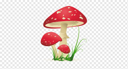 Мухомор для детей на прозрачном фоне