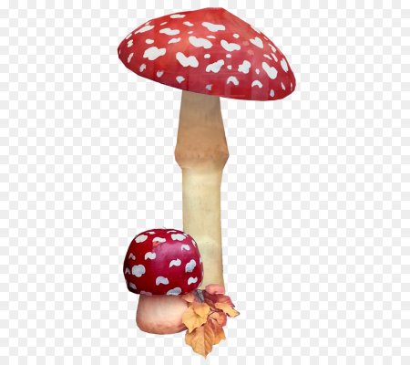 Мухомор фон