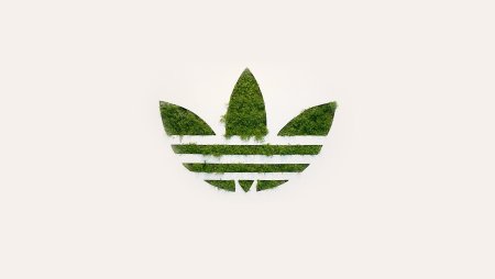 Adidas Trefoil logo
