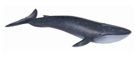 Фигурка Collecta голубой кит 88044