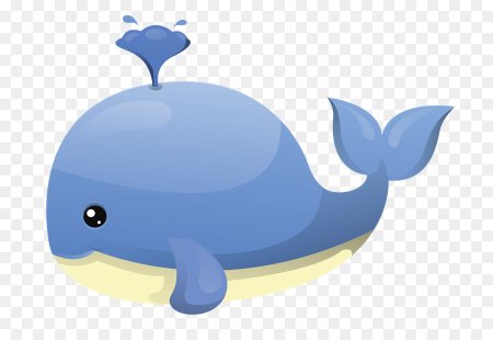 Киты мультяшные