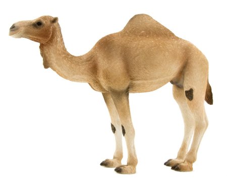 Одногорбый верблюд "Schleich"