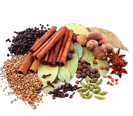 Spices PNG