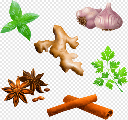 Специи на прозрачном фоне