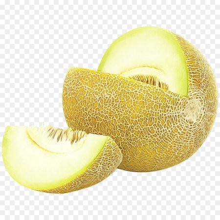 Galia Melon