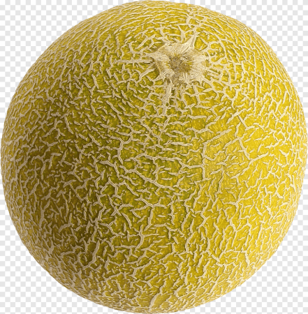 Дыня Honeydew